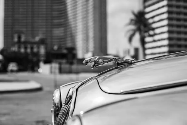 Καζίνο Λοψαλ Βετ Εφαρμογή Android/iOS